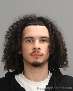 Mugshot of DANIEL ALEJANDRO HENAO