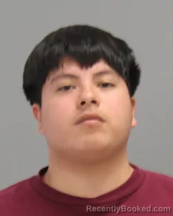 Mugshot of NICHOLAS EFRAIN TENA