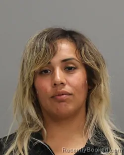 Mugshot of JHOANNA MURILLO-BAUTISTA