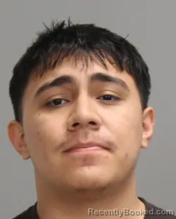 Mugshot of ANTHONY ALEXANDER ARGUETA