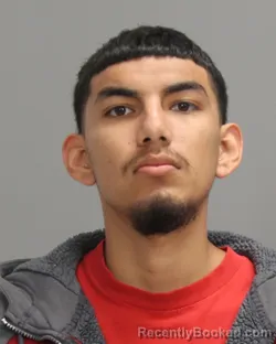 Mugshot of LUIS PADRON