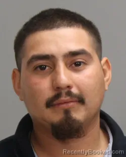 Mugshot of Nico Alexander Ramirez