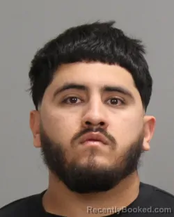 Mugshot of ROGELIO ANTONIO BAHENA