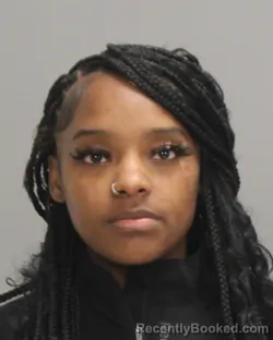 Mugshot of JAMECIA DOMINIQUE COLLINS