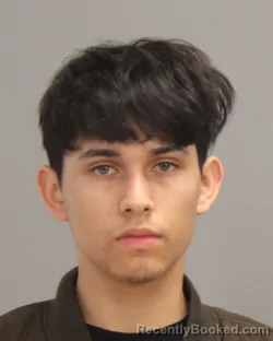 Mugshot of RAMIRO MAXIMILIANO DELEON