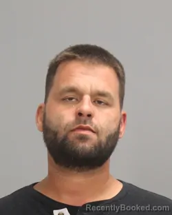 Mugshot of DAVOR DIZDAREVIC