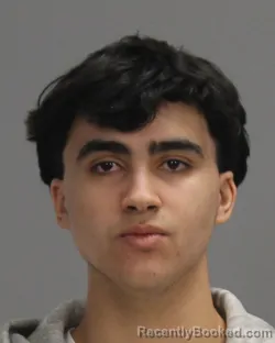 Mugshot of MEHDI MOHSEN ACHOUR