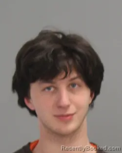 Mugshot of ALEC CAYDEN SANTANGE MCDOWELL