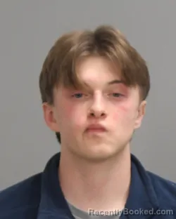 Mugshot of Shawn James Murray