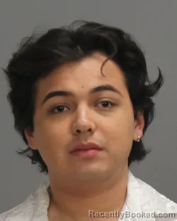 Mugshot of JOSE MARIO TELLEZ