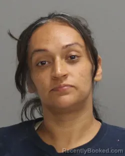 Booking photo from Brazos County, Texas