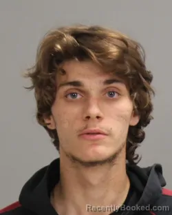 Mugshot of AUSTIN SHOLDERS