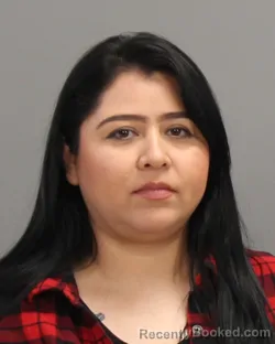 Booking photo from Brazos County, Texas