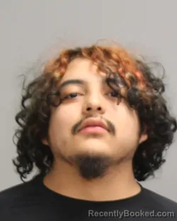 Booking photo from Brazos County, Texas