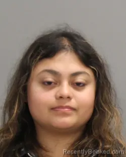 Booking photo from Brazos County, Texas