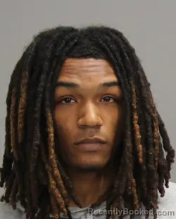 Mugshot of Alex Giavonni Cheatham