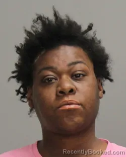Mugshot of CHRISHAUN DESHAY WILSON