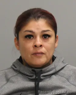 Mugshot of JEANETTE REYES GARAY