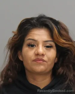 Booking photo from Brazos County, Texas