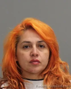 Mugshot of MELINDA LISA LOPEZ