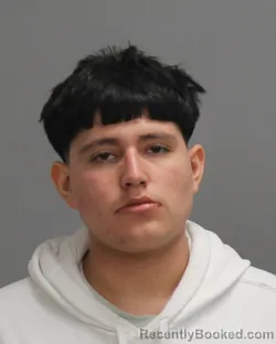 Mugshot of EFRAIN DOMINGUEZ