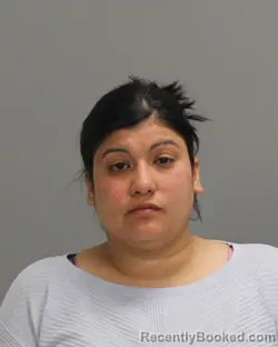 Mugshot of ASHLEY MARIE TREVINO