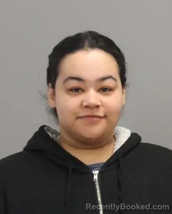 Mugshot of MEAGEN LORENZ COLEMAN