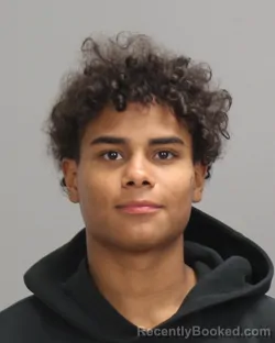 Mugshot of ELI MCNEIL