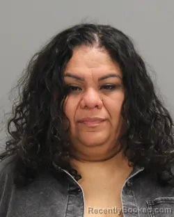 Mugshot of MARISOL PALACIO