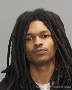 Mugshot of Tyshawn Collins