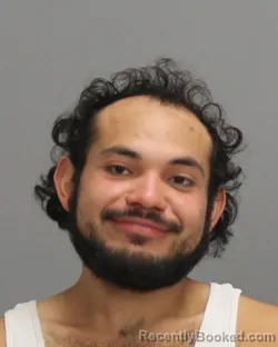 Booking photo from Brazos County, Texas