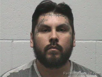 Booking photo from Lyon County, Nevada