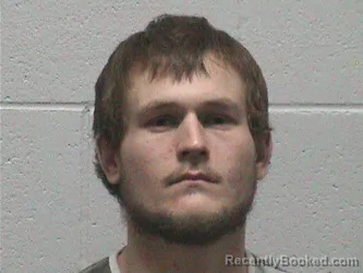 Mugshot of BRANDON KEITH PETERSON