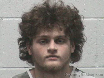 Mugshot of SETH GREGORY HORN