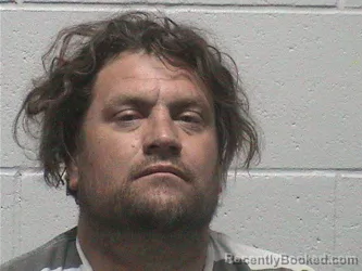 Mugshot of LEWIS SHANE ADAMSON