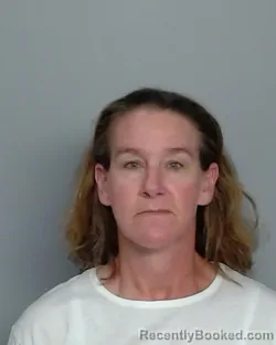 Mugshot of PAIGE ALLYN POWER