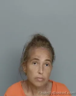 Mugshot of MELISSA ANN BORBA