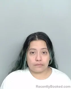 Mugshot of BRENDA ALAVEZ