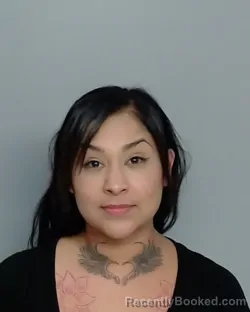 Mugshot of LILLIAN HERRERA