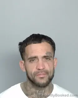 Mugshot of ALEX ANTHONY SHELLEY