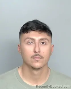 Mugshot of JOSHUA FERNANDEZ