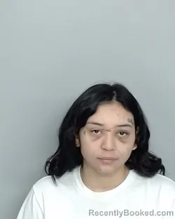 Mugshot of ELSA NYKOLE SALAZAR