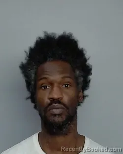 Mugshot of DAVID JONES