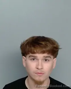 Mugshot of NOAH ISRAEL MAXWELL