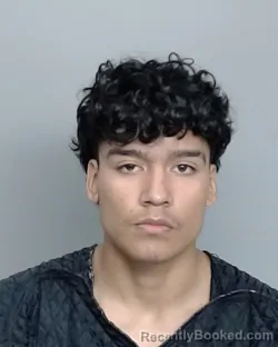 Mugshot of MIGUEL ANTONIO MENDEZ