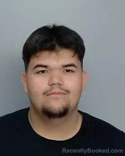 Mugshot of POLO MEDINA