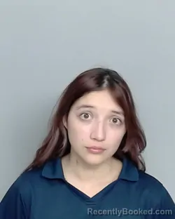 Mugshot of MONA LYNN HERNANDEZ