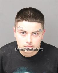 Booking photo from Bernalillo County, New Mexico