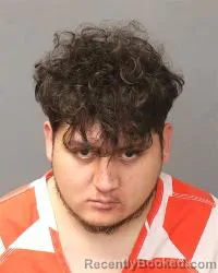 Booking photo from Bernalillo County, New Mexico