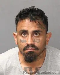 Booking photo from Bernalillo County, New Mexico